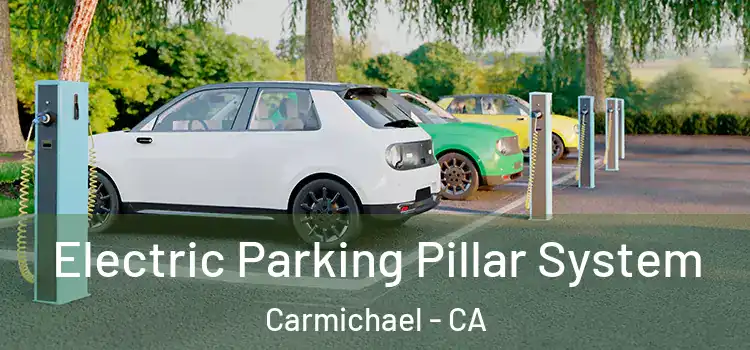 Electric Parking Pillar System Carmichael - CA