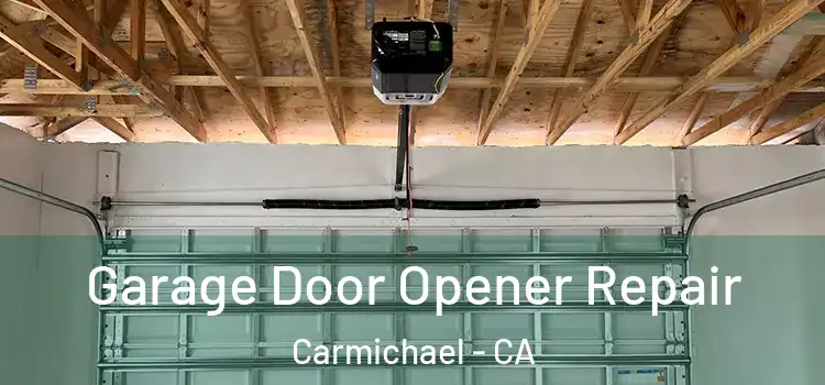 Garage Door Opener Repair Carmichael - CA