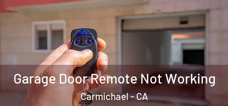  Garage Door Remote Not Working Carmichael - CA