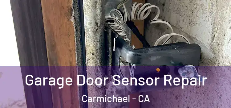 Garage Door Sensor Repair Carmichael - CA