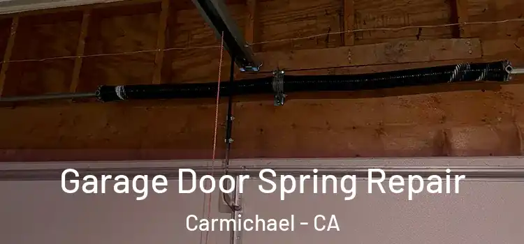  Garage Door Spring Repair Carmichael - CA