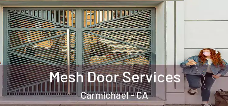 Mesh Door Services Carmichael - CA