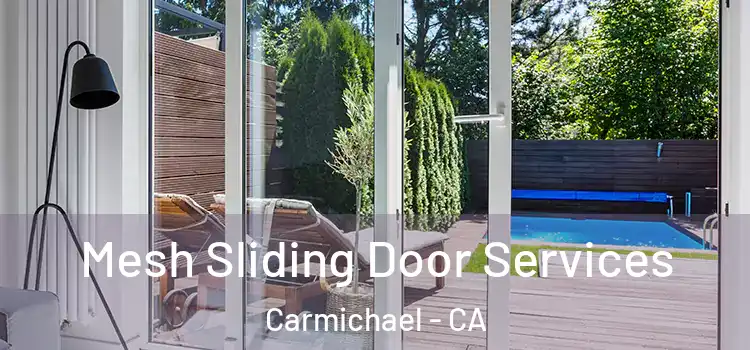Mesh Sliding Door Services Carmichael - CA